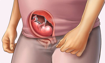 Как подготовить свой организм к зачатию ребенка